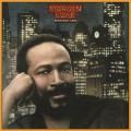 LPGaye Marvin / Midnight Love / Vinyl