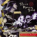 CDMorse Steve / Structural Damage