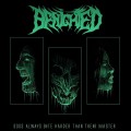 LPBenighted / Dogs Always Bite Harder Than Their Master / Vinyl