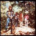 CDCreedence Cl.Revival / Green River