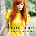 CDFine Frenzy / One Cell In The Sea