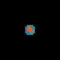 2LPChicago / Transit Authority / Vinyl