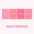 CDBTS / Map Of The Soul:Persona