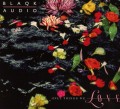 CDBlaqk Audio / Only Things We Love