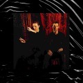 CDThese New Puritans / Inside the Rose