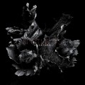 CDSpotlights / Love & Decay / Digisleeve