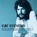 CDStevens Cat / Icon