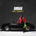 2LPShaggy / Wah Gwaan?! / Vinyl / 2LP / Coloured