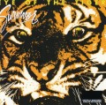 CDSurvivor / Eye Of The Tiger