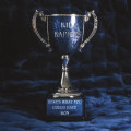 LPKid Kapichi / Here's What You Could Have Won / Vinyl