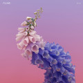 CDFlume / Skin