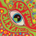 2LP13th Floor Elevators / Psychedelic Sounds Of... / Clrd / Vinyl / 2LP