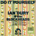 LPDury Ian & The Blockheads / Do It Yourself / Coloured / Vinyl