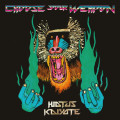 2LPHiatus Kaiyote / Choose Your Weapon / Vinyl / 2LP+7"