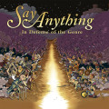 2LPSay Anything / In Defense Of The Genre / Vinyl / 2LP