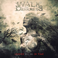 CDWalk In Darkness / Leaves Rolling In Time