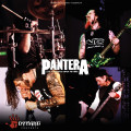 2LPPantera / Live At Dynamo Open Air 1998 / Vinyl / 2LP
