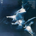 LPWeather Report / Weather Report / Blue / Vinyl