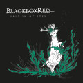 CDBlackboxred / Salt In My Eyes / Digipack
