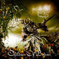 LPChildren Of Bodom / Relentless Reckless Forever / Vinyl