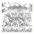 CDTheraphosa / Inferno / Digipack