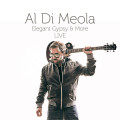 2LPDi Meola Al / Elegant Gypsy & More Live / Vinyl / 2LP