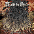 CDNight In Gales / Black Stream