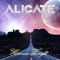 CDAlicate / Heaven Tonight