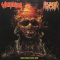 LPWhiplash/Released Anger / Split / 7" / Vinyl