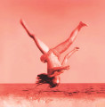 LPVertical Horizon / Everything You Want / Coloured / Vinyl