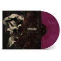 LPDying Wish / Fragments Of A Bitter Memory / Coloured / Vinyl