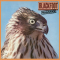 CDBlackfoot / Marauder