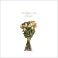 CDUre Midge / Fragile