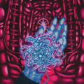 LPProvoker / Demon Compass / Vinyl