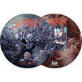 LPSuffocation / Effigy Of The Forgotten / Picture / Vinyl