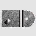 CDJamie XX / In Waves