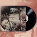 LPImmortal Bird / Sin Querencia / Vinyl