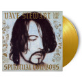 LPStewart Dave & Spiritual Cowboys / Stewart Dave... / Gold / Vinyl