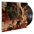 2LPGreat Old Ones / Kadath / Vinyl / 2LP