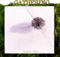 CDGathering / Nighttime Birds