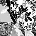 LPPonctuation / Mon Herbier Du Monde Entier / Vinyl