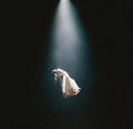 CDGrande Ariana / Eternal Sunshine / Brighter Days Ahead / Deluxe