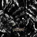 CDLizzard / Mesh