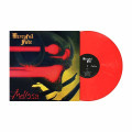 LPMercyful Fate / Melissa / Orange Marbled / Vinyl