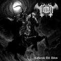 CDTaar / Catharsis Till Dawn