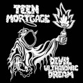 LPTeen Mortgage / Devil Ultrasonic Dream / Vinyl