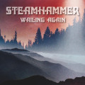 CDSteamhammer / Wailing Again