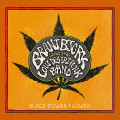 CDBrant Bjork & The Low Desert Punk Band / Black Power Flower