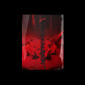 CDEnhypen / Desire:Unleash / MINE ver.