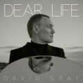 CDGray David / Dear Life